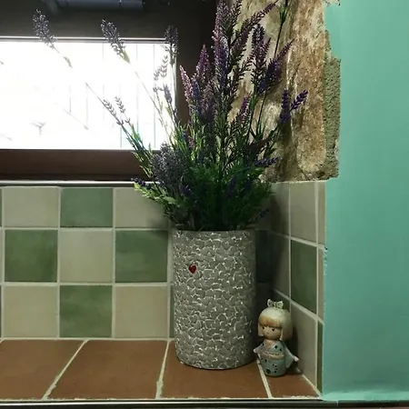 Lo Gnomo * Сульмона