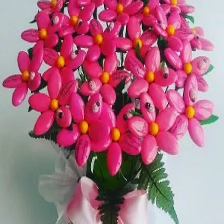 Lo Gnomo Отель Сульмона